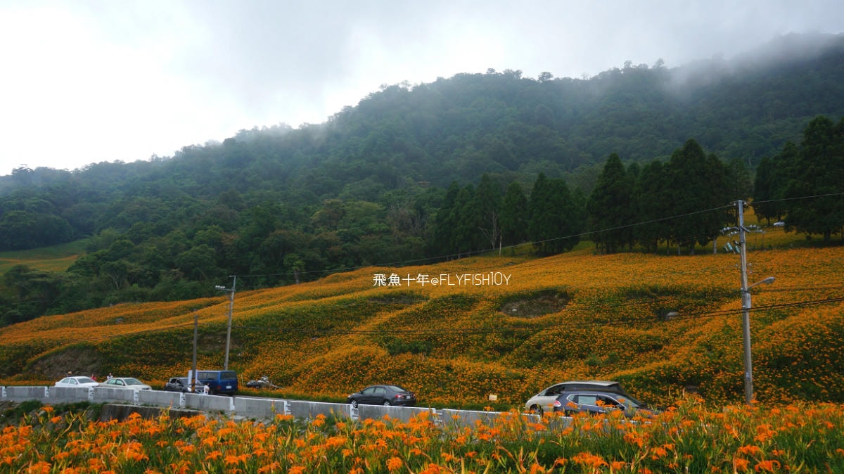 花蓮景點,花蓮玉里,花蓮金針山,花蓮金針花季(與一億朵金針花海相遇在花蓮赤科山‧六十石山),玉里景點,玉里金針花,玉里赤柯山,赤柯山,玉里推薦美食,玉里景點推薦,玉里金針石龜,赤柯山步道,赤柯山石龜,飛魚女孩,玉里金針花況回報,赤柯山六十石山比較,赤柯山六十石山ptt,赤柯山2024,赤柯山一日遊,赤柯山交通管制2024,赤柯山景點,赤柯山在哪裡,赤柯山住宿,赤柯山交通管制,赤科山即時影像,赤科山路況,赤科山2024