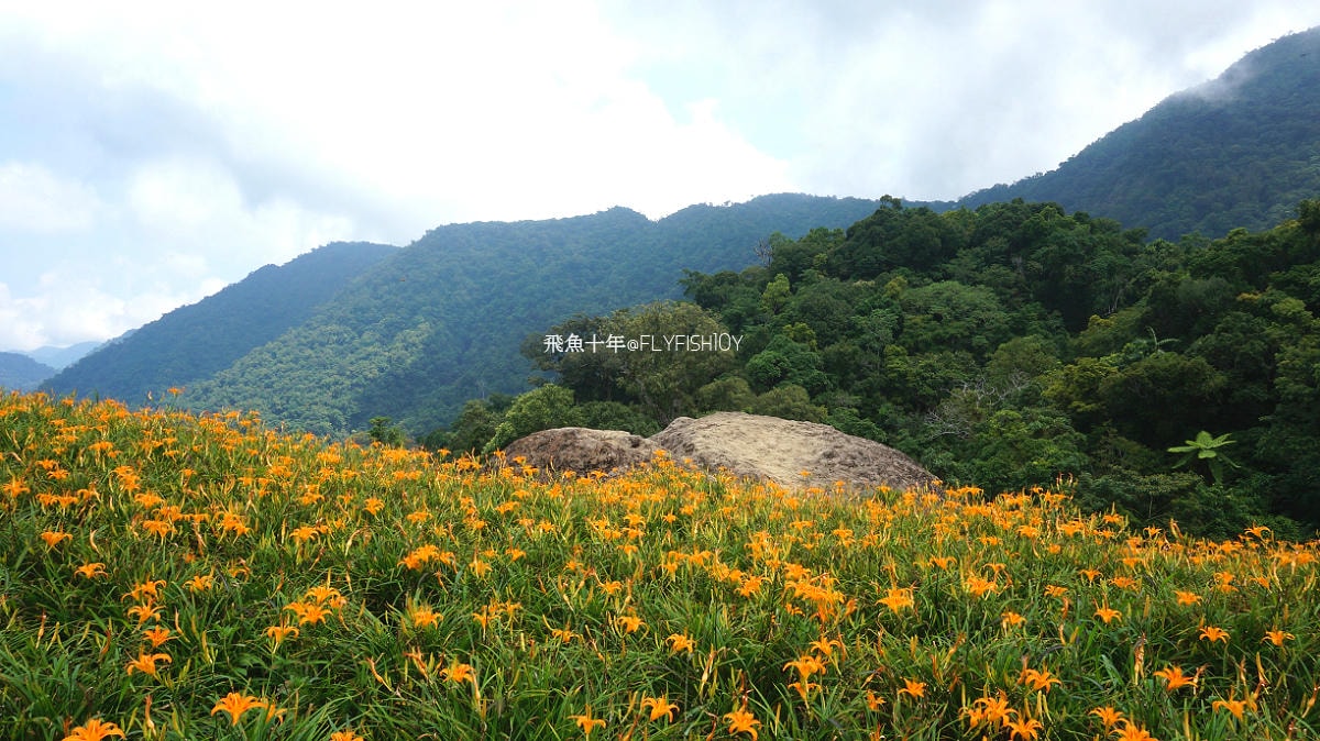 花蓮景點,花蓮玉里,花蓮金針山,花蓮金針花季(與一億朵金針花海相遇在花蓮赤科山‧六十石山),玉里景點,玉里金針花,玉里赤柯山,赤柯山,玉里推薦美食,玉里景點推薦,玉里金針石龜,赤柯山步道,赤柯山石龜,飛魚女孩,玉里金針花況回報,赤柯山六十石山比較,赤柯山六十石山ptt,赤柯山2024,赤柯山一日遊,赤柯山交通管制2024,赤柯山景點,赤柯山在哪裡,赤柯山住宿,赤柯山交通管制,赤科山即時影像,赤科山路況,赤科山2024
