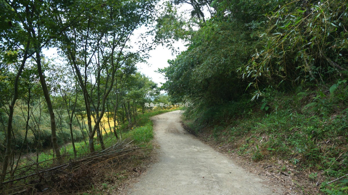 花蓮景點,花蓮玉里,花蓮金針山,花蓮金針花季(與一億朵金針花海相遇在花蓮赤科山‧六十石山),玉里景點,玉里金針花,玉里赤柯山,赤柯山,玉里推薦美食,玉里景點推薦,玉里金針石龜,赤柯山步道,赤柯山石龜,飛魚女孩,玉里金針花況回報,赤柯山六十石山比較,赤柯山六十石山ptt,赤柯山2024,赤柯山一日遊,赤柯山交通管制2024,赤柯山景點,赤柯山在哪裡,赤柯山住宿,赤柯山交通管制,赤科山即時影像,赤科山路況,赤科山2024