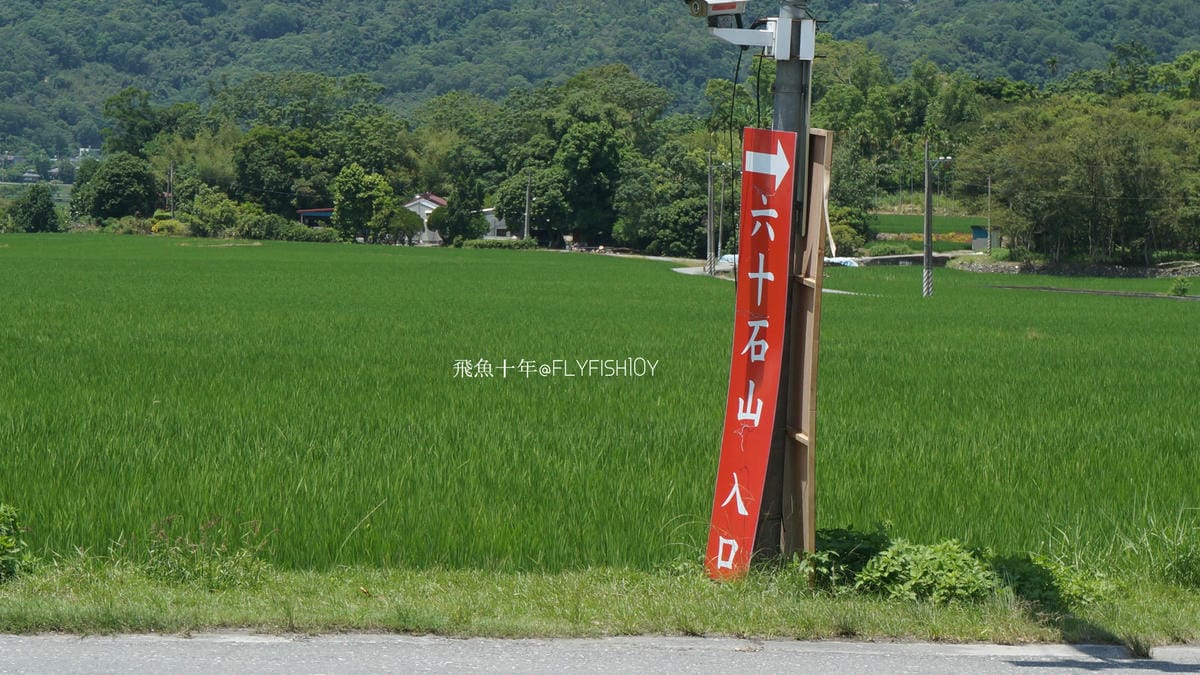 花蓮景點,金針花季,富里景點,玉里景點,花蓮金針花,花東縱谷景點,花東縱谷國家風景區,花東公路景點,台灣小瑞士,富里金針山,60石山,花蓮富里美食,花蓮富里景點,富里景點美食,富里花海景觀區,富里一日遊,六十石山,富里花海,富里金針花,富里交通,玉里金針花,赤柯山金針,玉里赤柯山,花蓮赤柯山,花蓮金針花季,赤柯山怎麼去,60石山怎麼去,六十石山怎麼去