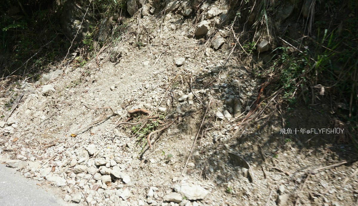 花蓮景點,金針花季,富里景點,玉里景點,花蓮金針花,花東縱谷景點,花東縱谷國家風景區,花東公路景點,台灣小瑞士,富里金針山,60石山,花蓮富里美食,花蓮富里景點,富里景點美食,富里花海景觀區,富里一日遊,六十石山,富里花海,富里金針花,富里交通,玉里金針花,赤柯山金針,玉里赤柯山,花蓮赤柯山,花蓮金針花季,赤柯山怎麼去,60石山怎麼去,六十石山怎麼去