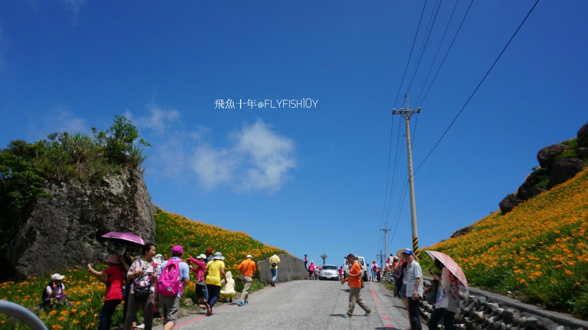 花蓮景點,金針花季,富里景點,玉里景點,花蓮金針花,花東縱谷景點,花東縱谷國家風景區,花東公路景點,台灣小瑞士,富里金針山,60石山,花蓮富里美食,花蓮富里景點,富里景點美食,富里花海景觀區,富里一日遊,六十石山,富里花海,富里金針花,富里交通,玉里金針花,赤柯山金針,玉里赤柯山,花蓮赤柯山,花蓮金針花季,赤柯山怎麼去,60石山怎麼去,六十石山怎麼去