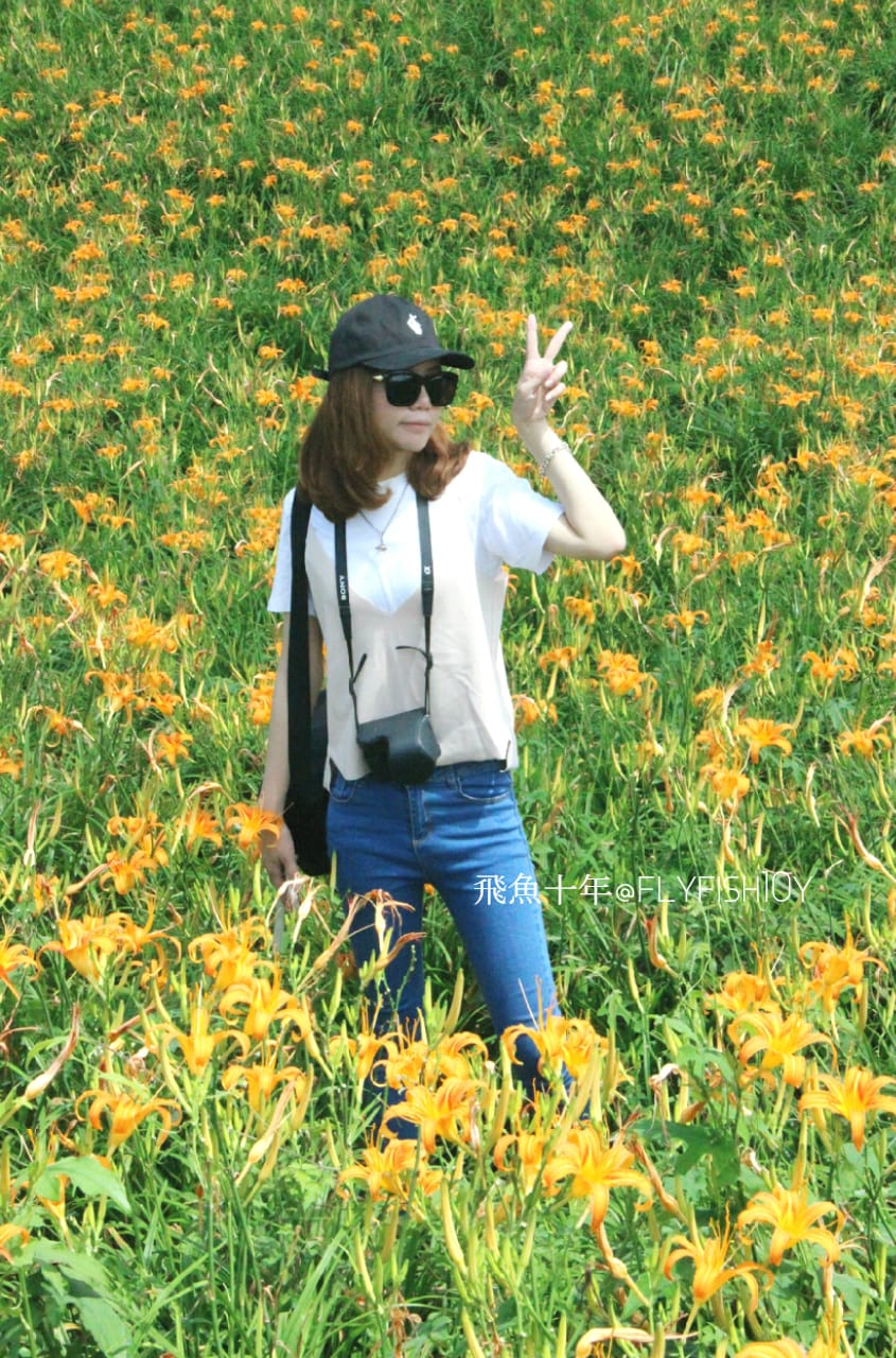 花蓮景點,金針花季,富里景點,玉里景點,花蓮金針花,花東縱谷景點,花東縱谷國家風景區,花東公路景點,台灣小瑞士,富里金針山,60石山,花蓮富里美食,花蓮富里景點,富里景點美食,富里花海景觀區,富里一日遊,六十石山,富里花海,富里金針花,富里交通,玉里金針花,赤柯山金針,玉里赤柯山,花蓮赤柯山,花蓮金針花季,赤柯山怎麼去,60石山怎麼去,六十石山怎麼去