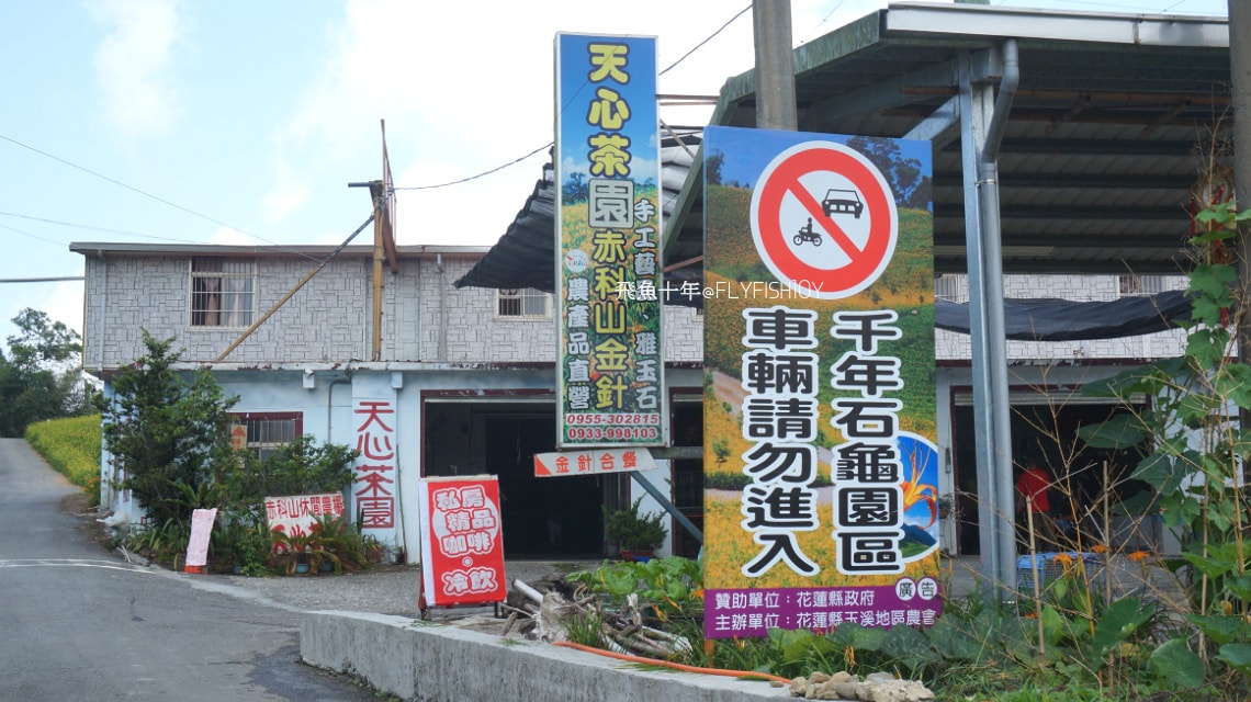 花蓮景點,花蓮玉里,花蓮金針山,花蓮金針花季(與一億朵金針花海相遇在花蓮赤科山‧六十石山),玉里景點,玉里金針花,玉里赤柯山,赤柯山,玉里推薦美食,玉里景點推薦,玉里金針石龜,赤柯山步道,赤柯山石龜,飛魚女孩,玉里金針花況回報,赤柯山六十石山比較,赤柯山六十石山ptt,赤柯山2024,赤柯山一日遊,赤柯山交通管制2024,赤柯山景點,赤柯山在哪裡,赤柯山住宿,赤柯山交通管制,赤科山即時影像,赤科山路況,赤科山2024