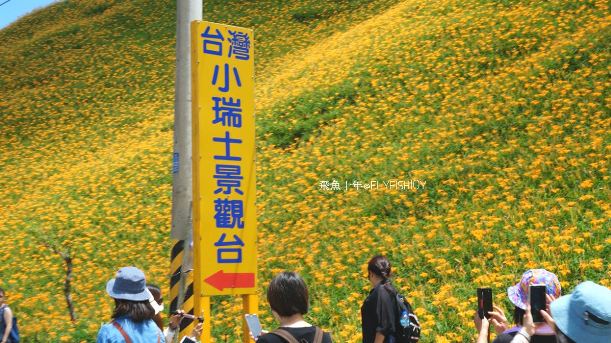 花蓮景點,金針花季,富里景點,玉里景點,花蓮金針花,花東縱谷景點,花東縱谷國家風景區,花東公路景點,台灣小瑞士,富里金針山,60石山,花蓮富里美食,花蓮富里景點,富里景點美食,富里花海景觀區,富里一日遊,六十石山,富里花海,富里金針花,富里交通,玉里金針花,赤柯山金針,玉里赤柯山,花蓮赤柯山,花蓮金針花季,赤柯山怎麼去,60石山怎麼去,六十石山怎麼去