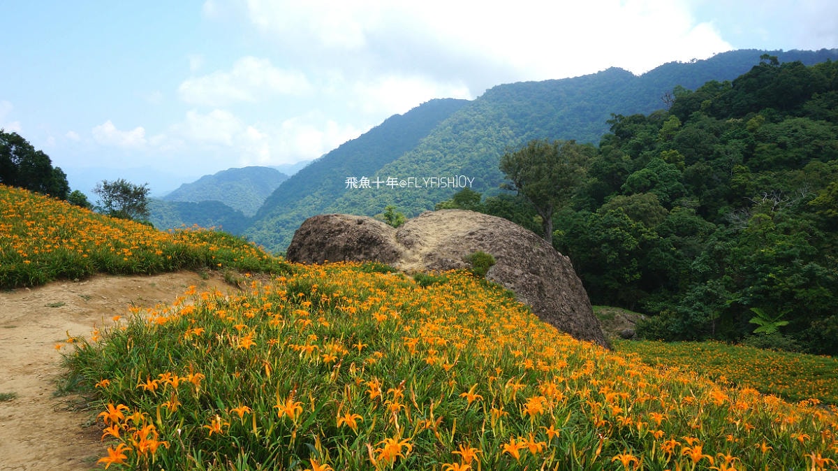 花蓮景點,花蓮玉里,花蓮金針山,花蓮金針花季(與一億朵金針花海相遇在花蓮赤科山‧六十石山),玉里景點,玉里金針花,玉里赤柯山,赤柯山,玉里推薦美食,玉里景點推薦,玉里金針石龜,赤柯山步道,赤柯山石龜,飛魚女孩,玉里金針花況回報,赤柯山六十石山比較,赤柯山六十石山ptt,赤柯山2024,赤柯山一日遊,赤柯山交通管制2024,赤柯山景點,赤柯山在哪裡,赤柯山住宿,赤柯山交通管制,赤科山即時影像,赤科山路況,赤科山2024