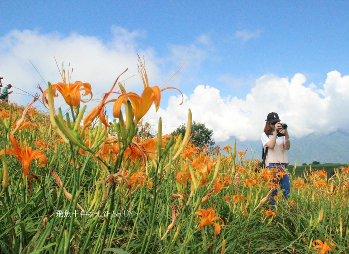 花蓮景點,金針花季,富里景點,玉里景點,花蓮金針花,花東縱谷景點,花東縱谷國家風景區,花東公路景點,台灣小瑞士,富里金針山,60石山,花蓮富里美食,花蓮富里景點,富里景點美食,富里花海景觀區,富里一日遊,六十石山,富里花海,富里金針花,富里交通,玉里金針花,赤柯山金針,玉里赤柯山,花蓮赤柯山,花蓮金針花季,赤柯山怎麼去,60石山怎麼去,六十石山怎麼去