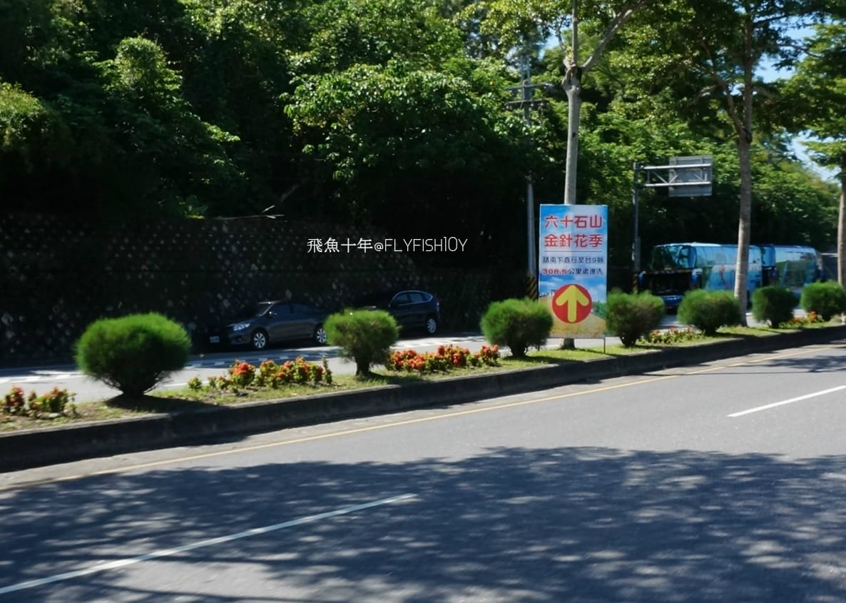 花蓮景點,金針花季,富里景點,玉里景點,花蓮金針花,花東縱谷景點,花東縱谷國家風景區,花東公路景點,台灣小瑞士,富里金針山,60石山,花蓮富里美食,花蓮富里景點,富里景點美食,富里花海景觀區,富里一日遊,六十石山,富里花海,富里金針花,富里交通,玉里金針花,赤柯山金針,玉里赤柯山,花蓮赤柯山,花蓮金針花季,赤柯山怎麼去,60石山怎麼去,六十石山怎麼去