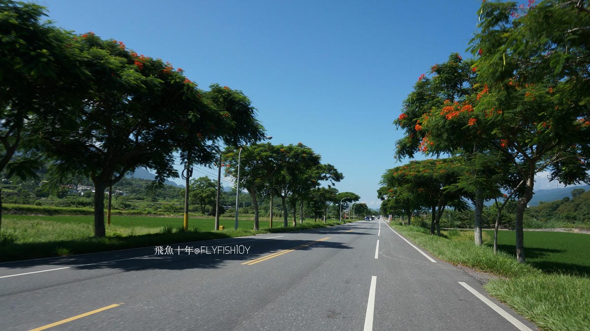 花蓮景點,金針花季,富里景點,玉里景點,花蓮金針花,花東縱谷景點,花東縱谷國家風景區,花東公路景點,台灣小瑞士,富里金針山,60石山,花蓮富里美食,花蓮富里景點,富里景點美食,富里花海景觀區,富里一日遊,六十石山,富里花海,富里金針花,富里交通,玉里金針花,赤柯山金針,玉里赤柯山,花蓮赤柯山,花蓮金針花季,赤柯山怎麼去,60石山怎麼去,六十石山怎麼去