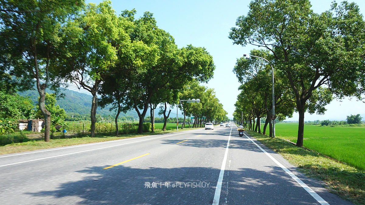 花蓮景點,花蓮玉里,花蓮金針山,花蓮金針花季(與一億朵金針花海相遇在花蓮赤科山‧六十石山),玉里景點,玉里金針花,玉里赤柯山,赤柯山,玉里推薦美食,玉里景點推薦,玉里金針石龜,赤柯山步道,赤柯山石龜,飛魚女孩,玉里金針花況回報,赤柯山六十石山比較,赤柯山六十石山ptt,赤柯山2024,赤柯山一日遊,赤柯山交通管制2024,赤柯山景點,赤柯山在哪裡,赤柯山住宿,赤柯山交通管制,赤科山即時影像,赤科山路況,赤科山2024