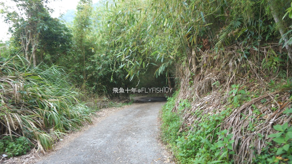花蓮景點,花蓮玉里,花蓮金針山,花蓮金針花季(與一億朵金針花海相遇在花蓮赤科山‧六十石山),玉里景點,玉里金針花,玉里赤柯山,赤柯山,玉里推薦美食,玉里景點推薦,玉里金針石龜,赤柯山步道,赤柯山石龜,飛魚女孩,玉里金針花況回報,赤柯山六十石山比較,赤柯山六十石山ptt,赤柯山2024,赤柯山一日遊,赤柯山交通管制2024,赤柯山景點,赤柯山在哪裡,赤柯山住宿,赤柯山交通管制,赤科山即時影像,赤科山路況,赤科山2024