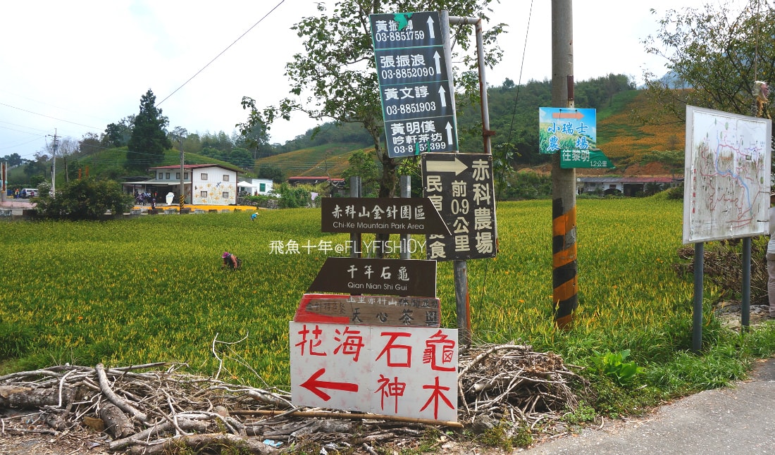 花蓮景點,花蓮玉里,花蓮金針山,花蓮金針花季(與一億朵金針花海相遇在花蓮赤科山‧六十石山),玉里景點,玉里金針花,玉里赤柯山,赤柯山,玉里推薦美食,玉里景點推薦,玉里金針石龜,赤柯山步道,赤柯山石龜,飛魚女孩,玉里金針花況回報,赤柯山六十石山比較,赤柯山六十石山ptt,赤柯山2024,赤柯山一日遊,赤柯山交通管制2024,赤柯山景點,赤柯山在哪裡,赤柯山住宿,赤柯山交通管制,赤科山即時影像,赤科山路況,赤科山2024