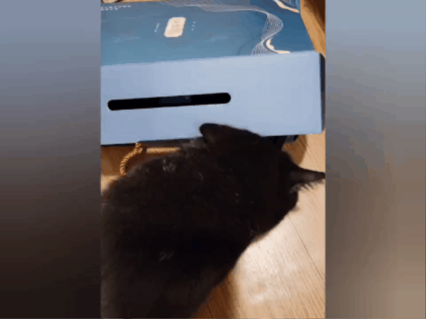 慢漫談香秘魯聖木精裝禮盒,慢漫談香,秘魯聖木精裝禮盒,秘魯聖木,秘魯A+級爆油聖木,聖木禁忌,聖木晚上燒,聖木真假,聖木淨化方式,聖木推薦,聖木淨化空間,聖木淨化教學,聖木粉怎麼燒,秘魯聖木功效,秘魯聖木dcard,秘魯聖木ptt,聖木條ptt,A+爆油聖木,祕魯聖木教學,聖木是什麼,聖木推薦,黑碧璽推薦,黑碧璽功效,黑碧璽 黑曜石,黑碧璽 黑曜石 PTT,黑碧璽功能,黑碧璽禁忌,聖木 鼠尾草,聖木黑煙,聖木 淨化