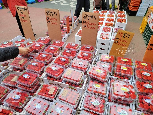 飛魚女孩,韓國自由行,望遠市場,望遠市場休市,望遠市場刀削麵,望遠市場dcard,望遠市場附近景點,望遠市場行程安排,望遠市場必吃,望遠市場地址,弘大到望遠市場,望遠市場2024,望遠市場美食地圖,望遠市場vs廣藏市場,弘大 早餐 Dcard,弘大美食dcard,望遠市場 糖餅,望遠洞韓文,望遠市場一日遊,望遠洞 小店,isaac toast明洞地址,isaac toast分店