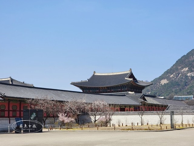 飛魚女孩,韓國自由行,首爾景點地圖,跟著飛魚玩韓國,光化門廣場交通,光化門事件,光化門廣場 美食,光化門雕像,光化門 景點,光化門站韓文,光化門地鐵站,景福宮站,鍾路 三街 地鐵,光化門 景福宮,景福宮開放時間2024,景福宮交接2024,景福宮 光化門,景福宮韓文,景福宮韓服推薦dcard,景福宮門票價格,世宗村飲食文化街,益善洞 dcard,益善洞逛街地圖,韓國shake shack,shake shack韓國,韓國shake shack推薦,首爾六天五夜,首爾六天五夜行程,首爾6天5夜,首爾 shake shack,韓國首爾秘境dcard