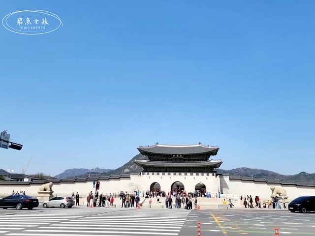 飛魚女孩,韓國自由行,首爾景點地圖,跟著飛魚玩韓國,光化門廣場交通,光化門事件,光化門廣場 美食,光化門雕像,光化門 景點,光化門站韓文,光化門地鐵站,景福宮站,鍾路 三街 地鐵,光化門 景福宮,景福宮開放時間2024,景福宮交接2024,景福宮 光化門,景福宮韓文,景福宮韓服推薦dcard,景福宮門票價格,世宗村飲食文化街,益善洞 dcard,益善洞逛街地圖,韓國shake shack,shake shack韓國,韓國shake shack推薦,首爾六天五夜,首爾六天五夜行程,首爾6天5夜,首爾 shake shack,韓國首爾秘境dcard