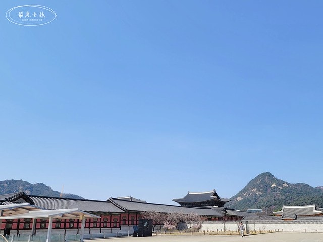 飛魚女孩,韓國自由行,首爾景點地圖,跟著飛魚玩韓國,光化門廣場交通,光化門事件,光化門廣場 美食,光化門雕像,光化門 景點,光化門站韓文,光化門地鐵站,景福宮站,鍾路 三街 地鐵,光化門 景福宮,景福宮開放時間2024,景福宮交接2024,景福宮 光化門,景福宮韓文,景福宮韓服推薦dcard,景福宮門票價格,世宗村飲食文化街,益善洞 dcard,益善洞逛街地圖,韓國shake shack,shake shack韓國,韓國shake shack推薦,首爾六天五夜,首爾六天五夜行程,首爾6天5夜,首爾 shake shack,韓國首爾秘境dcard