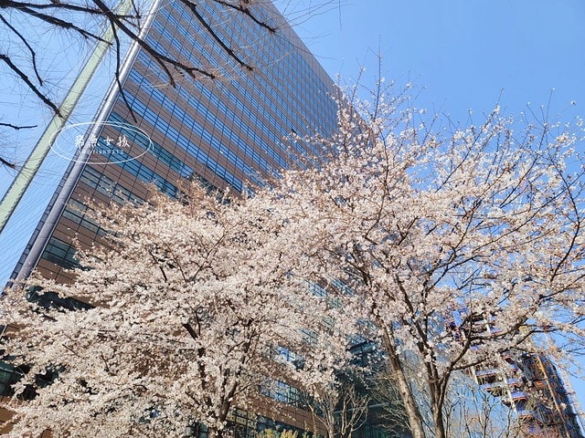 飛魚女孩,韓國自由行,首爾景點地圖,跟著飛魚玩韓國,光化門廣場交通,光化門事件,光化門廣場 美食,光化門雕像,光化門 景點,光化門站韓文,光化門地鐵站,景福宮站,鍾路 三街 地鐵,光化門 景福宮,景福宮開放時間2024,景福宮交接2024,景福宮 光化門,景福宮韓文,景福宮韓服推薦dcard,景福宮門票價格,世宗村飲食文化街,益善洞 dcard,益善洞逛街地圖,韓國shake shack,shake shack韓國,韓國shake shack推薦,首爾六天五夜,首爾六天五夜行程,首爾6天5夜,首爾 shake shack,韓國首爾秘境dcard