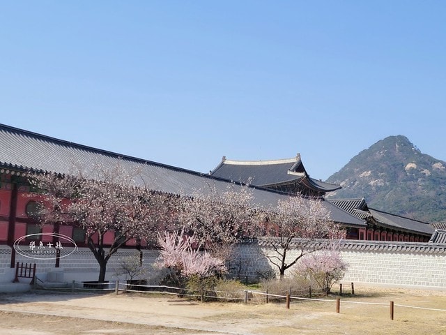 飛魚女孩,韓國自由行,首爾景點地圖,跟著飛魚玩韓國,光化門廣場交通,光化門事件,光化門廣場 美食,光化門雕像,光化門 景點,光化門站韓文,光化門地鐵站,景福宮站,鍾路 三街 地鐵,光化門 景福宮,景福宮開放時間2024,景福宮交接2024,景福宮 光化門,景福宮韓文,景福宮韓服推薦dcard,景福宮門票價格,世宗村飲食文化街,益善洞 dcard,益善洞逛街地圖,韓國shake shack,shake shack韓國,韓國shake shack推薦,首爾六天五夜,首爾六天五夜行程,首爾6天5夜,首爾 shake shack,韓國首爾秘境dcard