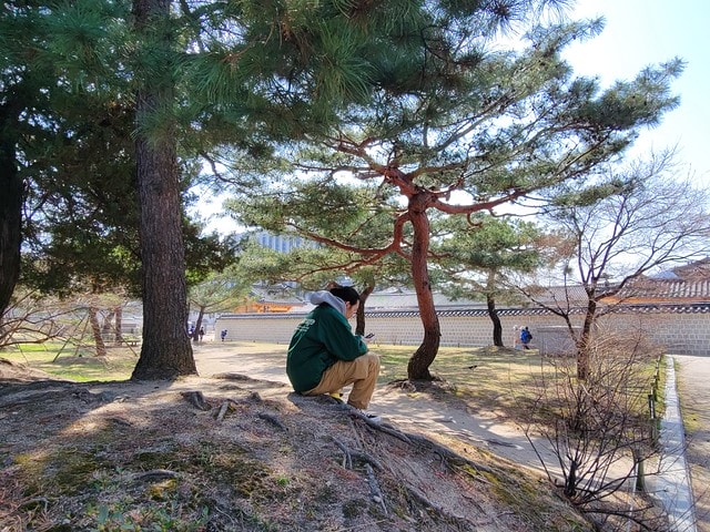 飛魚女孩,韓國自由行,首爾景點地圖,跟著飛魚玩韓國,光化門廣場交通,光化門事件,光化門廣場 美食,光化門雕像,光化門 景點,光化門站韓文,光化門地鐵站,景福宮站,鍾路 三街 地鐵,光化門 景福宮,景福宮開放時間2024,景福宮交接2024,景福宮 光化門,景福宮韓文,景福宮韓服推薦dcard,景福宮門票價格,世宗村飲食文化街,益善洞 dcard,益善洞逛街地圖,韓國shake shack,shake shack韓國,韓國shake shack推薦,首爾六天五夜,首爾六天五夜行程,首爾6天5夜,首爾 shake shack,韓國首爾秘境dcard