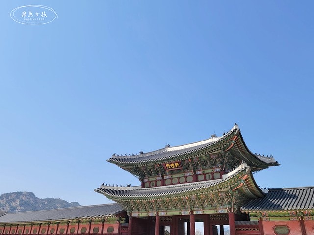 飛魚女孩,韓國自由行,首爾景點地圖,跟著飛魚玩韓國,光化門廣場交通,光化門事件,光化門廣場 美食,光化門雕像,光化門 景點,光化門站韓文,光化門地鐵站,景福宮站,鍾路 三街 地鐵,光化門 景福宮,景福宮開放時間2024,景福宮交接2024,景福宮 光化門,景福宮韓文,景福宮韓服推薦dcard,景福宮門票價格,世宗村飲食文化街,益善洞 dcard,益善洞逛街地圖,韓國shake shack,shake shack韓國,韓國shake shack推薦,首爾六天五夜,首爾六天五夜行程,首爾6天5夜,首爾 shake shack,韓國首爾秘境dcard