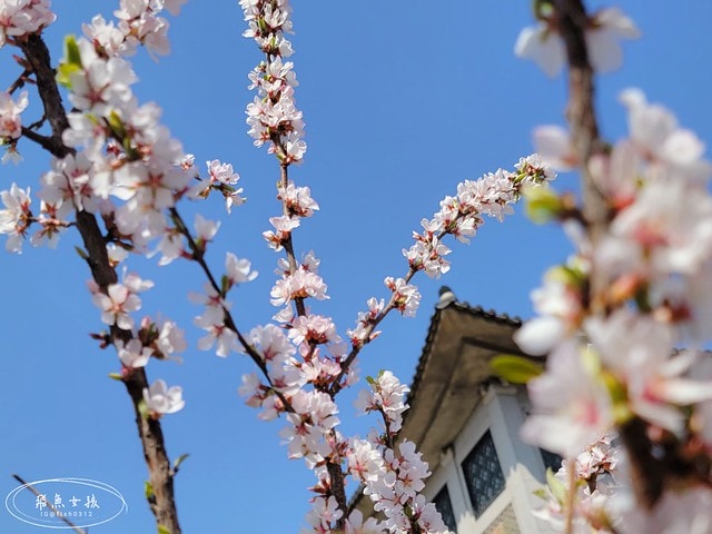 飛魚女孩,韓國自由行,首爾景點地圖,跟著飛魚玩韓國,光化門廣場交通,光化門事件,光化門廣場 美食,光化門雕像,光化門 景點,光化門站韓文,光化門地鐵站,景福宮站,鍾路 三街 地鐵,光化門 景福宮,景福宮開放時間2024,景福宮交接2024,景福宮 光化門,景福宮韓文,景福宮韓服推薦dcard,景福宮門票價格,世宗村飲食文化街,益善洞 dcard,益善洞逛街地圖,韓國shake shack,shake shack韓國,韓國shake shack推薦,首爾六天五夜,首爾六天五夜行程,首爾6天5夜,首爾 shake shack,韓國首爾秘境dcard