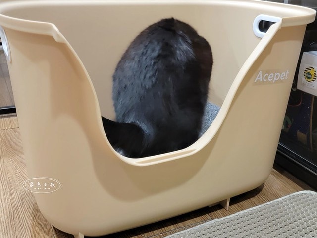 acepet,愛思沛,Extra large cat litter box,ACEPET寵愛聚寶盆,貓砂盆推薦,貓砂盆推薦dcard,貓砂盆推薦ptt,大型貓砂盆推薦,超大貓砂盆ptt,貓砂盆太小會怎樣,貓砂盆應該要多大,哪一種貓砂盆比較好用,貓砂盆大小ptt,貓砂盆多大?,寵愛聚寶盆,大型貓砂盆推薦ptt,推薦十大雙層貓砂盆人氣排行榜,韓國超大貓砂盆,貓砂盆放哪裡dcard,貓砂盆挑選