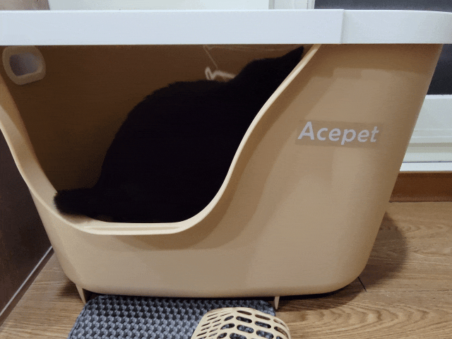 acepet,愛思沛,Extra large cat litter box,ACEPET寵愛聚寶盆,貓砂盆推薦,貓砂盆推薦dcard,貓砂盆推薦ptt,大型貓砂盆推薦,超大貓砂盆ptt,貓砂盆太小會怎樣,貓砂盆應該要多大,哪一種貓砂盆比較好用,貓砂盆大小ptt,貓砂盆多大?,寵愛聚寶盆,大型貓砂盆推薦ptt,推薦十大雙層貓砂盆人氣排行榜,韓國超大貓砂盆,貓砂盆放哪裡dcard,貓砂盆挑選