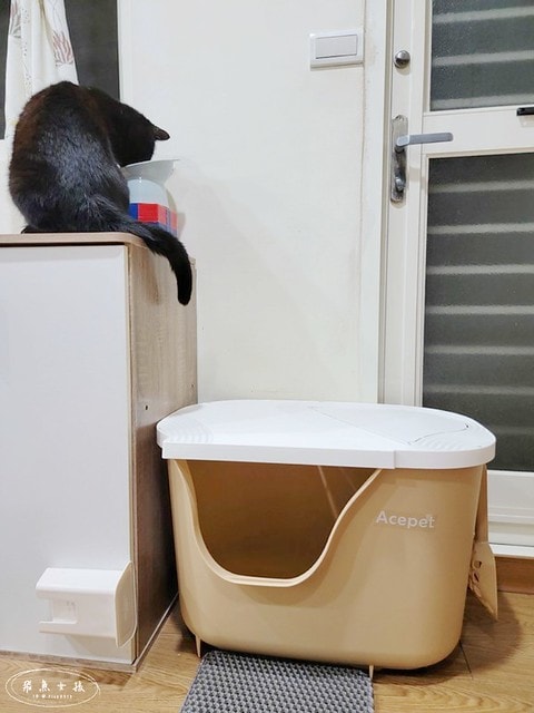acepet,愛思沛,Extra large cat litter box,ACEPET寵愛聚寶盆,貓砂盆推薦,貓砂盆推薦dcard,貓砂盆推薦ptt,大型貓砂盆推薦,超大貓砂盆ptt,貓砂盆太小會怎樣,貓砂盆應該要多大,哪一種貓砂盆比較好用,貓砂盆大小ptt,貓砂盆多大?,寵愛聚寶盆,大型貓砂盆推薦ptt,推薦十大雙層貓砂盆人氣排行榜,韓國超大貓砂盆,貓砂盆放哪裡dcard,貓砂盆挑選