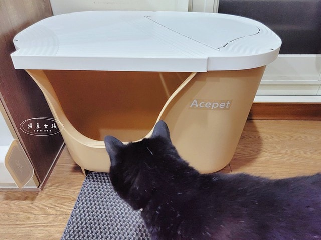 acepet,愛思沛,Extra large cat litter box,ACEPET寵愛聚寶盆,貓砂盆推薦,貓砂盆推薦dcard,貓砂盆推薦ptt,大型貓砂盆推薦,超大貓砂盆ptt,貓砂盆太小會怎樣,貓砂盆應該要多大,哪一種貓砂盆比較好用,貓砂盆大小ptt,貓砂盆多大?,寵愛聚寶盆,大型貓砂盆推薦ptt,推薦十大雙層貓砂盆人氣排行榜,韓國超大貓砂盆,貓砂盆放哪裡dcard,貓砂盆挑選