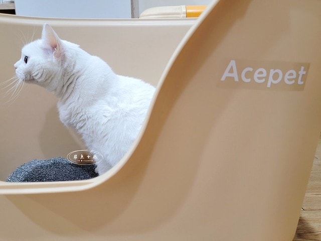 acepet,愛思沛,Extra large cat litter box,ACEPET寵愛聚寶盆,貓砂盆推薦,貓砂盆推薦dcard,貓砂盆推薦ptt,大型貓砂盆推薦,超大貓砂盆ptt,貓砂盆太小會怎樣,貓砂盆應該要多大,哪一種貓砂盆比較好用,貓砂盆大小ptt,貓砂盆多大?,寵愛聚寶盆,大型貓砂盆推薦ptt,推薦十大雙層貓砂盆人氣排行榜,韓國超大貓砂盆,貓砂盆放哪裡dcard,貓砂盆挑選