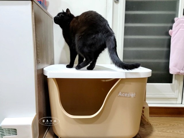 acepet,愛思沛,Extra large cat litter box,ACEPET寵愛聚寶盆,貓砂盆推薦,貓砂盆推薦dcard,貓砂盆推薦ptt,大型貓砂盆推薦,超大貓砂盆ptt,貓砂盆太小會怎樣,貓砂盆應該要多大,哪一種貓砂盆比較好用,貓砂盆大小ptt,貓砂盆多大?,寵愛聚寶盆,大型貓砂盆推薦ptt,推薦十大雙層貓砂盆人氣排行榜,韓國超大貓砂盆,貓砂盆放哪裡dcard,貓砂盆挑選