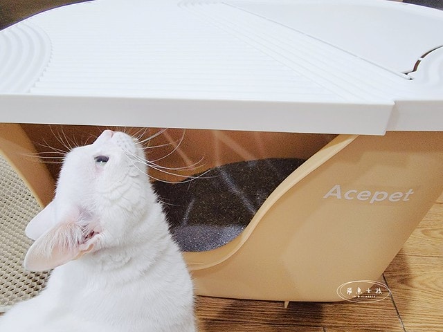 acepet,愛思沛,Extra large cat litter box,ACEPET寵愛聚寶盆,貓砂盆推薦,貓砂盆推薦dcard,貓砂盆推薦ptt,大型貓砂盆推薦,超大貓砂盆ptt,貓砂盆太小會怎樣,貓砂盆應該要多大,哪一種貓砂盆比較好用,貓砂盆大小ptt,貓砂盆多大?,寵愛聚寶盆,大型貓砂盆推薦ptt,推薦十大雙層貓砂盆人氣排行榜,韓國超大貓砂盆,貓砂盆放哪裡dcard,貓砂盆挑選