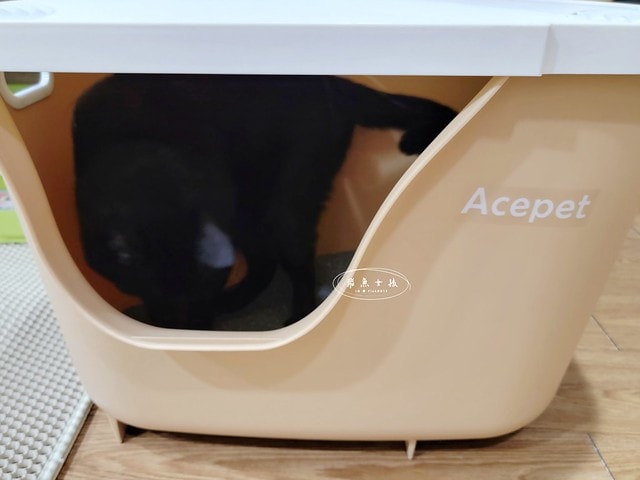 acepet,愛思沛,Extra large cat litter box,ACEPET寵愛聚寶盆,貓砂盆推薦,貓砂盆推薦dcard,貓砂盆推薦ptt,大型貓砂盆推薦,超大貓砂盆ptt,貓砂盆太小會怎樣,貓砂盆應該要多大,哪一種貓砂盆比較好用,貓砂盆大小ptt,貓砂盆多大?,寵愛聚寶盆,大型貓砂盆推薦ptt,推薦十大雙層貓砂盆人氣排行榜,韓國超大貓砂盆,貓砂盆放哪裡dcard,貓砂盆挑選
