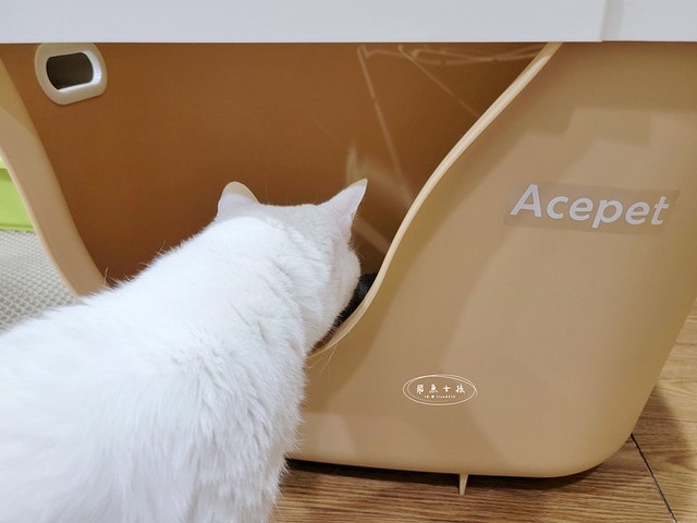 acepet,愛思沛,Extra large cat litter box,ACEPET寵愛聚寶盆,貓砂盆推薦,貓砂盆推薦dcard,貓砂盆推薦ptt,大型貓砂盆推薦,超大貓砂盆ptt,貓砂盆太小會怎樣,貓砂盆應該要多大,哪一種貓砂盆比較好用,貓砂盆大小ptt,貓砂盆多大?,寵愛聚寶盆,大型貓砂盆推薦ptt,推薦十大雙層貓砂盆人氣排行榜,韓國超大貓砂盆,貓砂盆放哪裡dcard,貓砂盆挑選