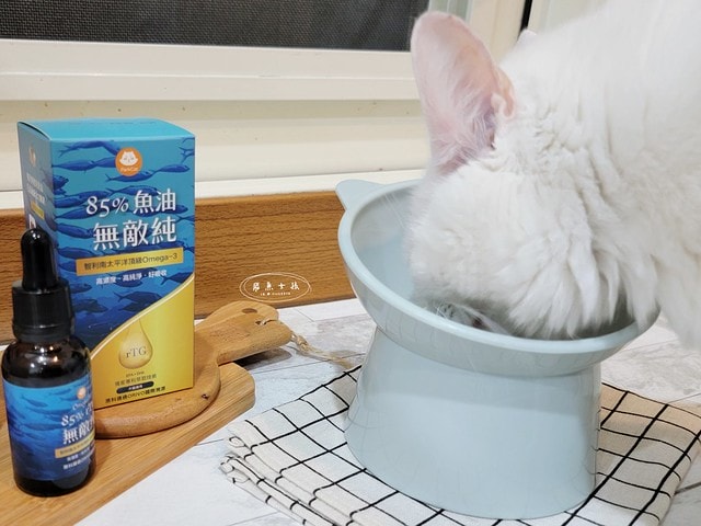 ParkCat無敵純魚油,ParkCat 85%無敵純·專利萃取魚油,parkcat魚油,parkcat魚油ptt,parkcat魚油dcard,貓咪魚油推薦dcard,貓咪魚油推薦ptt,貓咪魚油推薦,貓咪魚油dcard,貓咪魚油怎麼餵,貓魚油功效#,85%高濃度,ParkCat,無敵純,85%rTG高純度,專利魚油,寵物魚油推薦,貓魚油,寵物界小棕瓶,寵物魚油推薦ptt,寵物魚油功效,寵物魚油推薦ptt,寵物魚油推薦dcard,貓魚油多久吃一次,貓樂園 魚油,parkcat魚油評價,parkcat魚油dcard,parkcat魚油dcard,貓樂園dcard,貓樂園 無敵罐,貓樂園活性碳ptt,貓樂園魚油,新鮮好喵招ptt