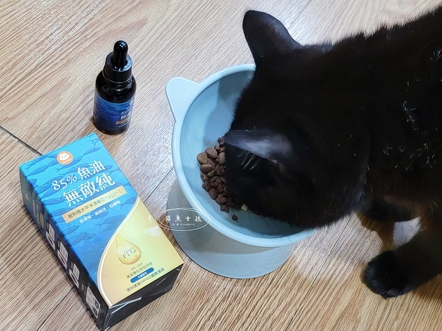 ParkCat無敵純魚油,ParkCat 85%無敵純·專利萃取魚油,parkcat魚油,parkcat魚油ptt,parkcat魚油dcard,貓咪魚油推薦dcard,貓咪魚油推薦ptt,貓咪魚油推薦,貓咪魚油dcard,貓咪魚油怎麼餵,貓魚油功效#,85%高濃度,ParkCat,無敵純,85%rTG高純度,專利魚油,寵物魚油推薦,貓魚油,寵物界小棕瓶,寵物魚油推薦ptt,寵物魚油功效,寵物魚油推薦ptt,寵物魚油推薦dcard,貓魚油多久吃一次,貓樂園 魚油,parkcat魚油評價,parkcat魚油dcard,parkcat魚油dcard,貓樂園dcard,貓樂園 無敵罐,貓樂園活性碳ptt,貓樂園魚油,新鮮好喵招ptt