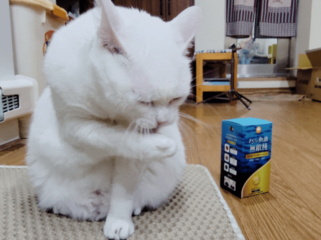 ParkCat無敵純魚油,ParkCat 85%無敵純·專利萃取魚油,parkcat魚油,parkcat魚油ptt,parkcat魚油dcard,貓咪魚油推薦dcard,貓咪魚油推薦ptt,貓咪魚油推薦,貓咪魚油dcard,貓咪魚油怎麼餵,貓魚油功效#,85%高濃度,ParkCat,無敵純,85%rTG高純度,專利魚油,寵物魚油推薦,貓魚油,寵物界小棕瓶,寵物魚油推薦ptt,寵物魚油功效,寵物魚油推薦ptt,寵物魚油推薦dcard,貓魚油多久吃一次,貓樂園 魚油,parkcat魚油評價,parkcat魚油dcard,parkcat魚油dcard,貓樂園dcard,貓樂園 無敵罐,貓樂園活性碳ptt,貓樂園魚油,新鮮好喵招ptt