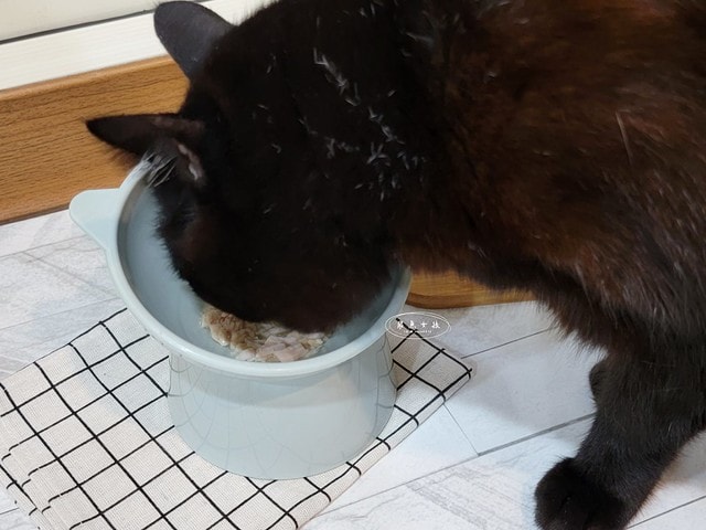 ParkCat無敵純魚油,ParkCat 85%無敵純·專利萃取魚油,parkcat魚油,parkcat魚油ptt,parkcat魚油dcard,貓咪魚油推薦dcard,貓咪魚油推薦ptt,貓咪魚油推薦,貓咪魚油dcard,貓咪魚油怎麼餵,貓魚油功效#,85%高濃度,ParkCat,無敵純,85%rTG高純度,專利魚油,寵物魚油推薦,貓魚油,寵物界小棕瓶,寵物魚油推薦ptt,寵物魚油功效,寵物魚油推薦ptt,寵物魚油推薦dcard,貓魚油多久吃一次,貓樂園 魚油,parkcat魚油評價,parkcat魚油dcard,parkcat魚油dcard,貓樂園dcard,貓樂園 無敵罐,貓樂園活性碳ptt,貓樂園魚油,新鮮好喵招ptt