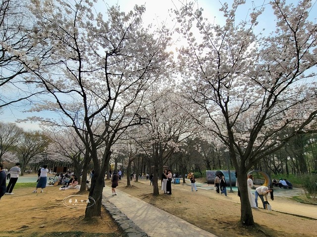 飛魚女孩,跟著飛魚玩韓國,首爾林,首爾林逛街,首爾林站,首爾林櫻花,首爾林公園,首爾林韓文,首爾林梅花鹿,首爾林地圖,首爾林站 幾 號線,首爾林聖水洞,首爾林咖啡街,聖水洞逛街地圖,首爾地鐵2號線地圖,首爾林 冬天,弘大到聖水洞要多久,首爾林景點,首爾林地鐵,首爾櫻花,首爾櫻花時間,首爾櫻花現況,首爾櫻花季,首爾櫻花 PTT,首爾櫻花2024,2024首爾櫻花預測,韓國櫻花花期,2025首爾櫻花預測,韓國首爾櫻花幾月,2024韓國櫻花開了嗎,櫻花滿開後多久凋謝,櫻花 滿開 撐幾天,韓國櫻花季,韓國櫻花預測2025,韓國櫻花預測2024,韓國櫻花預測,韓國櫻花花期,韓國櫻花首爾,首爾賞櫻景點推薦