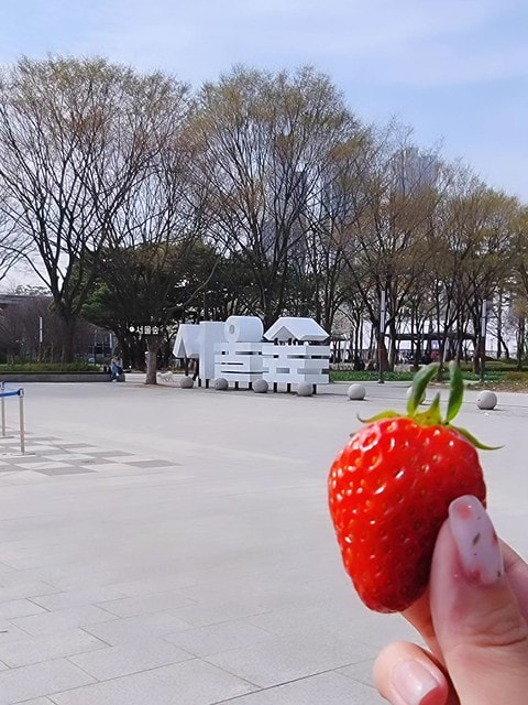 飛魚女孩,跟著飛魚玩韓國,首爾林,首爾林逛街,首爾林站,首爾林櫻花,首爾林公園,首爾林韓文,首爾林梅花鹿,首爾林地圖,首爾林站 幾 號線,首爾林聖水洞,首爾林咖啡街,聖水洞逛街地圖,首爾地鐵2號線地圖,首爾林 冬天,弘大到聖水洞要多久,首爾林景點,首爾林地鐵,首爾櫻花,首爾櫻花時間,首爾櫻花現況,首爾櫻花季,首爾櫻花 PTT,首爾櫻花2024,2024首爾櫻花預測,韓國櫻花花期,2025首爾櫻花預測,韓國首爾櫻花幾月,2024韓國櫻花開了嗎,櫻花滿開後多久凋謝,櫻花 滿開 撐幾天,韓國櫻花季,韓國櫻花預測2025,韓國櫻花預測2024,韓國櫻花預測,韓國櫻花花期,韓國櫻花首爾,首爾賞櫻景點推薦