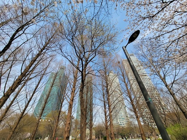 飛魚女孩,跟著飛魚玩韓國,首爾林,首爾林逛街,首爾林站,首爾林櫻花,首爾林公園,首爾林韓文,首爾林梅花鹿,首爾林地圖,首爾林站 幾 號線,首爾林聖水洞,首爾林咖啡街,聖水洞逛街地圖,首爾地鐵2號線地圖,首爾林 冬天,弘大到聖水洞要多久,首爾林景點,首爾林地鐵,首爾櫻花,首爾櫻花時間,首爾櫻花現況,首爾櫻花季,首爾櫻花 PTT,首爾櫻花2024,2024首爾櫻花預測,韓國櫻花花期,2025首爾櫻花預測,韓國首爾櫻花幾月,2024韓國櫻花開了嗎,櫻花滿開後多久凋謝,櫻花 滿開 撐幾天,韓國櫻花季,韓國櫻花預測2025,韓國櫻花預測2024,韓國櫻花預測,韓國櫻花花期,韓國櫻花首爾,首爾賞櫻景點推薦