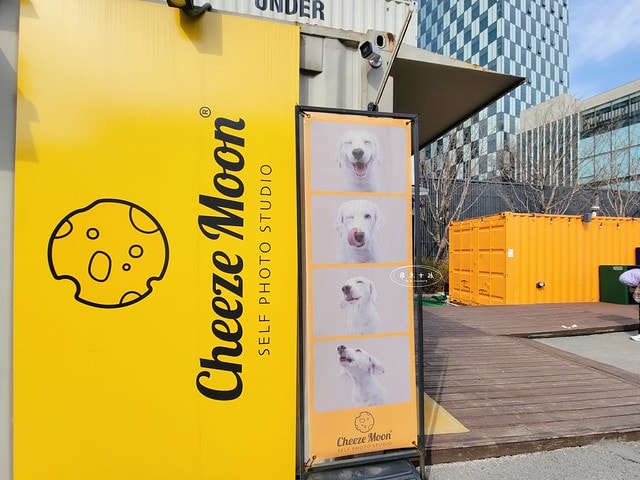 飛魚女孩,跟著飛魚玩韓國,首爾林,首爾林逛街,首爾林站,首爾林櫻花,首爾林公園,首爾林韓文,首爾林梅花鹿,首爾林地圖,首爾林站 幾 號線,首爾林聖水洞,首爾林咖啡街,聖水洞逛街地圖,首爾地鐵2號線地圖,首爾林 冬天,弘大到聖水洞要多久,首爾林景點,首爾林地鐵,首爾櫻花,首爾櫻花時間,首爾櫻花現況,首爾櫻花季,首爾櫻花 PTT,首爾櫻花2024,2024首爾櫻花預測,韓國櫻花花期,2025首爾櫻花預測,韓國首爾櫻花幾月,2024韓國櫻花開了嗎,櫻花滿開後多久凋謝,櫻花 滿開 撐幾天,韓國櫻花季,韓國櫻花預測2025,韓國櫻花預測2024,韓國櫻花預測,韓國櫻花花期,韓國櫻花首爾,首爾賞櫻景點推薦