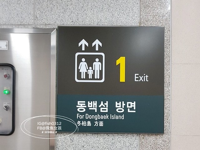 釜山夜景,IG美照,TheBay101,더베이101,MarineCity,마린시티,廣安大橋夜景,冬柏島景點,釜山夜景景點