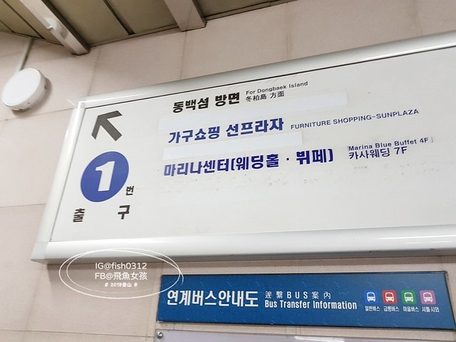 釜山夜景,IG美照,TheBay101,더베이101,MarineCity,마린시티,廣安大橋夜景,冬柏島景點,釜山夜景景點