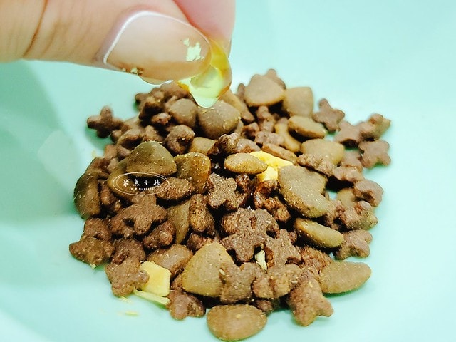 毛孩時代.寵物魚油.頂級魚油.市售最高.95%濃度.100%保護.獸醫推薦.寵物健康.無腥味.寵物保健.毛孩時代Petstimes.毛孩時代評價.毛孩時代魚油ptt.毛孩時代魚油評價.毛孩時代魚油.毛孩時代 95%頂級深海魚油.毛孩時代魚油dcard.寵物魚油推薦.寵物魚油dcard.寵物魚油推薦ptt.熟齡貓保養,老貓保健食品dcard,老貓保健食品ptt,貓咪保健食品dcard,老貓關節保養,老狗保健食品dcard,貓咪保養品推薦,貓咪保健食品怎麼吃,幼貓保健食品dcard,貓魚油dcard,貓魚油多久吃一次,貓魚油多久吃一次dcard,貓咪吃魚油 Dcard,貓魚油ptt,寵物魚油功效 毛孩時代.寵物魚油.頂級魚油.市售最高.95%濃度.100%保護.獸醫推薦.寵物健康.無腥味.寵物保健.毛孩時代Petstimes.毛孩時代評價.毛孩時代魚油ptt.毛孩時代魚油評價.毛孩時代魚油.毛孩時代 95%頂級深海魚油.毛孩時代魚油dcard.寵物魚油推薦.寵物魚油dcard.寵物魚油推薦ptt.熟齡貓保養,老貓保健食品dcard,老貓保健食品ptt,貓咪保健食品dcard,老貓關節保養,老狗保健食品dcard,貓咪保養品推薦,貓咪保健食品怎麼吃,幼貓保健食品dcard,貓魚油dcard,貓魚油多久吃一次,貓魚油多久吃一次dcard,貓咪吃魚油 Dcard,貓魚油ptt,寵物魚油功效