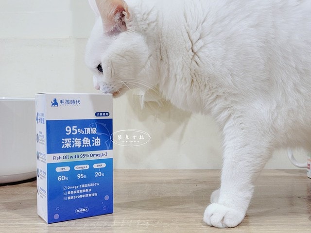 毛孩時代.寵物魚油.頂級魚油.市售最高.95%濃度.100%保護.獸醫推薦.寵物健康.無腥味.寵物保健.毛孩時代Petstimes.毛孩時代評價.毛孩時代魚油ptt.毛孩時代魚油評價.毛孩時代魚油.毛孩時代 95%頂級深海魚油.毛孩時代魚油dcard.寵物魚油推薦.寵物魚油dcard.寵物魚油推薦ptt.熟齡貓保養,老貓保健食品dcard,老貓保健食品ptt,貓咪保健食品dcard,老貓關節保養,老狗保健食品dcard,貓咪保養品推薦,貓咪保健食品怎麼吃,幼貓保健食品dcard,貓魚油dcard,貓魚油多久吃一次,貓魚油多久吃一次dcard,貓咪吃魚油 Dcard,貓魚油ptt,寵物魚油功效