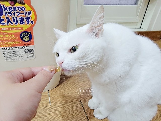 毛孩時代.寵物魚油.頂級魚油.市售最高.95%濃度.100%保護.獸醫推薦.寵物健康.無腥味.寵物保健.毛孩時代Petstimes.毛孩時代評價.毛孩時代魚油ptt.毛孩時代魚油評價.毛孩時代魚油.毛孩時代 95%頂級深海魚油.毛孩時代魚油dcard.寵物魚油推薦.寵物魚油dcard.寵物魚油推薦ptt.熟齡貓保養,老貓保健食品dcard,老貓保健食品ptt,貓咪保健食品dcard,老貓關節保養,老狗保健食品dcard,貓咪保養品推薦,貓咪保健食品怎麼吃,幼貓保健食品dcard,貓魚油dcard,貓魚油多久吃一次,貓魚油多久吃一次dcard,貓咪吃魚油 Dcard,貓魚油ptt,寵物魚油功效 毛孩時代.寵物魚油.頂級魚油.市售最高.95%濃度.100%保護.獸醫推薦.寵物健康.無腥味.寵物保健.毛孩時代Petstimes.毛孩時代評價.毛孩時代魚油ptt.毛孩時代魚油評價.毛孩時代魚油.毛孩時代 95%頂級深海魚油.毛孩時代魚油dcard.寵物魚油推薦.寵物魚油dcard.寵物魚油推薦ptt.熟齡貓保養,老貓保健食品dcard,老貓保健食品ptt,貓咪保健食品dcard,老貓關節保養,老狗保健食品dcard,貓咪保養品推薦,貓咪保健食品怎麼吃,幼貓保健食品dcard,貓魚油dcard,貓魚油多久吃一次,貓魚油多久吃一次dcard,貓咪吃魚油 Dcard,貓魚油ptt,寵物魚油功效