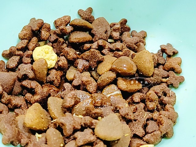 毛孩時代.寵物魚油.頂級魚油.市售最高.95%濃度.100%保護.獸醫推薦.寵物健康.無腥味.寵物保健.毛孩時代Petstimes.毛孩時代評價.毛孩時代魚油ptt.毛孩時代魚油評價.毛孩時代魚油.毛孩時代 95%頂級深海魚油.毛孩時代魚油dcard.寵物魚油推薦.寵物魚油dcard.寵物魚油推薦ptt.熟齡貓保養,老貓保健食品dcard,老貓保健食品ptt,貓咪保健食品dcard,老貓關節保養,老狗保健食品dcard,貓咪保養品推薦,貓咪保健食品怎麼吃,幼貓保健食品dcard,貓魚油dcard,貓魚油多久吃一次,貓魚油多久吃一次dcard,貓咪吃魚油 Dcard,貓魚油ptt,寵物魚油功效 毛孩時代.寵物魚油.頂級魚油.市售最高.95%濃度.100%保護.獸醫推薦.寵物健康.無腥味.寵物保健.毛孩時代Petstimes.毛孩時代評價.毛孩時代魚油ptt.毛孩時代魚油評價.毛孩時代魚油.毛孩時代 95%頂級深海魚油.毛孩時代魚油dcard.寵物魚油推薦.寵物魚油dcard.寵物魚油推薦ptt.熟齡貓保養,老貓保健食品dcard,老貓保健食品ptt,貓咪保健食品dcard,老貓關節保養,老狗保健食品dcard,貓咪保養品推薦,貓咪保健食品怎麼吃,幼貓保健食品dcard,貓魚油dcard,貓魚油多久吃一次,貓魚油多久吃一次dcard,貓咪吃魚油 Dcard,貓魚油ptt,寵物魚油功效