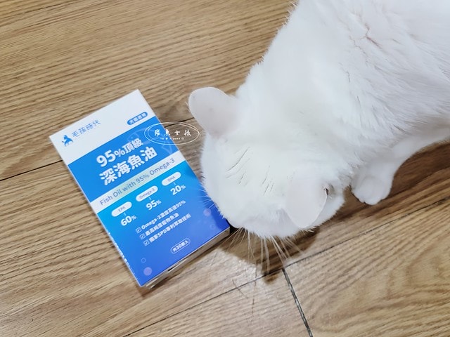 毛孩時代.寵物魚油.頂級魚油.市售最高.95%濃度.100%保護.獸醫推薦.寵物健康.無腥味.寵物保健.毛孩時代Petstimes.毛孩時代評價.毛孩時代魚油ptt.毛孩時代魚油評價.毛孩時代魚油.毛孩時代 95%頂級深海魚油.毛孩時代魚油dcard.寵物魚油推薦.寵物魚油dcard.寵物魚油推薦ptt.熟齡貓保養,老貓保健食品dcard,老貓保健食品ptt,貓咪保健食品dcard,老貓關節保養,老狗保健食品dcard,貓咪保養品推薦,貓咪保健食品怎麼吃,幼貓保健食品dcard,貓魚油dcard,貓魚油多久吃一次,貓魚油多久吃一次dcard,貓咪吃魚油 Dcard,貓魚油ptt,寵物魚油功效